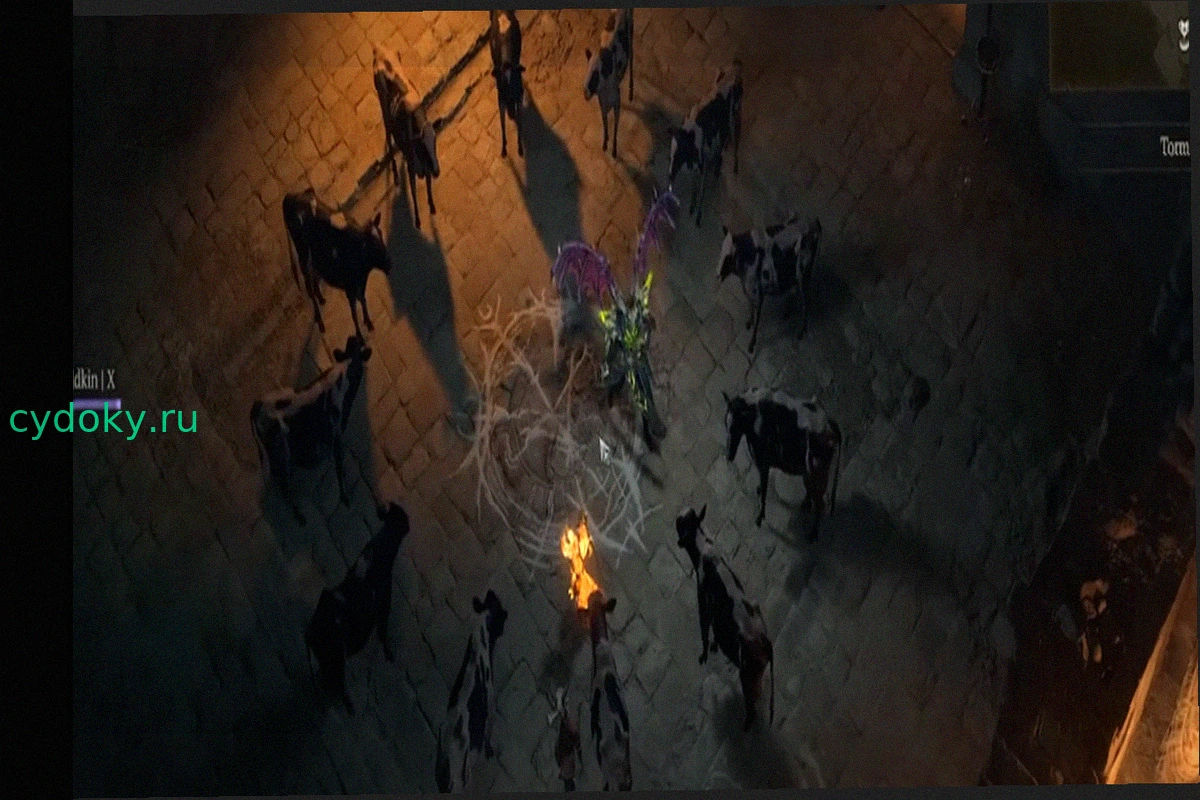 Diablo IV: Наконец-то найден знаменитый Уровень Коров, тщательно скрытый от глаз