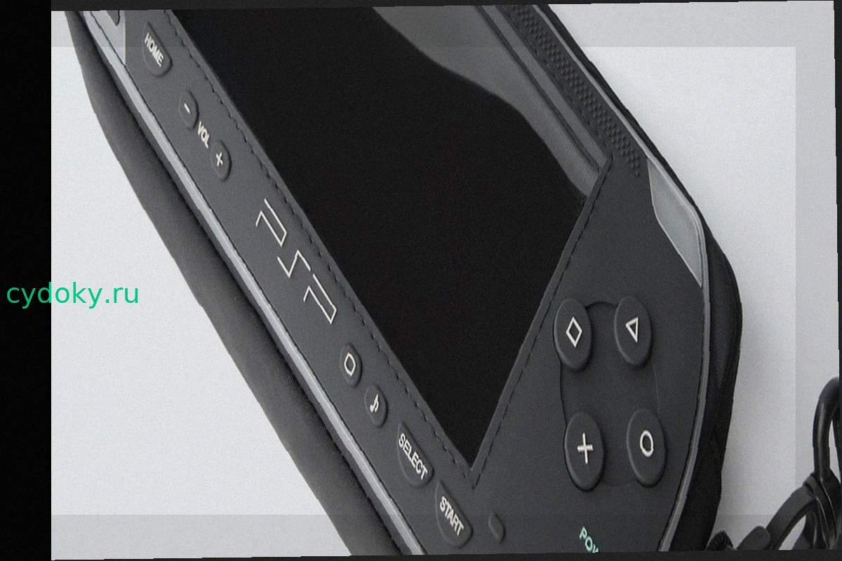 Zara выпускает сумки для PSP и геймпадов PS3